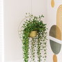 Aberto Design Payanda - Gold